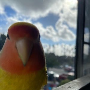 Meet your Posher, Jeremy